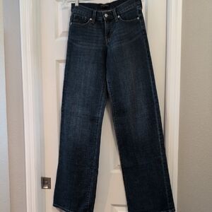 Banana Republic Dark Blue Flare Jeans